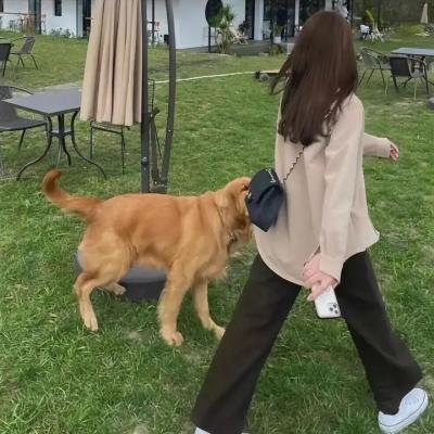 是妈妈是女儿2